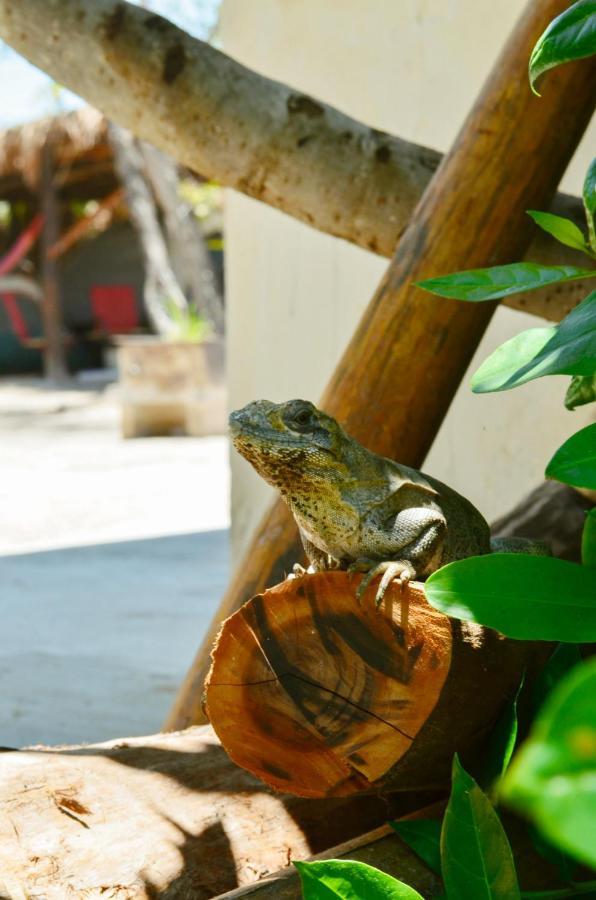 Skycamp Camping Holbox Kültér fotó